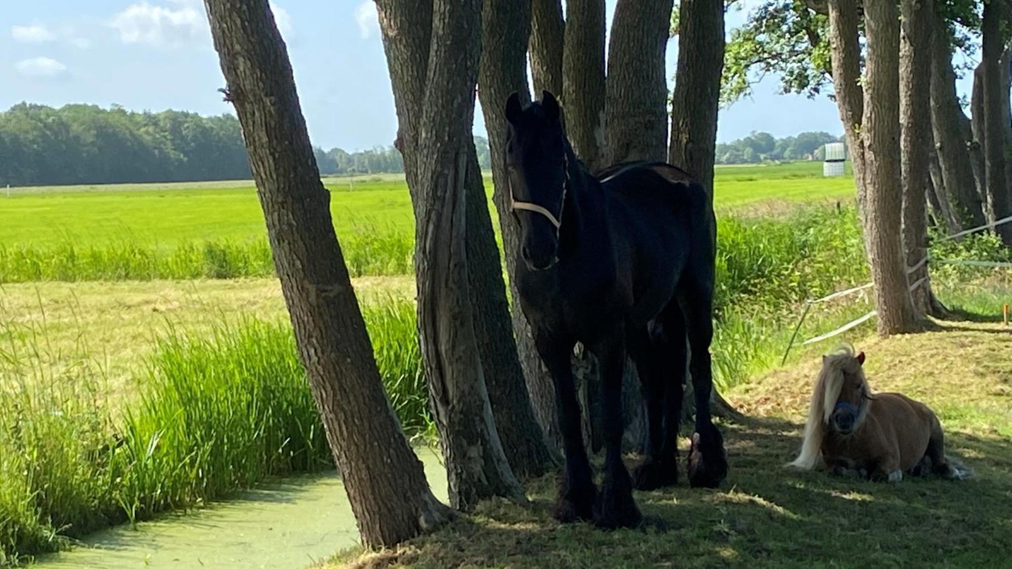B&B Kuiper In Friesland Ureterp Екстер'єр фото