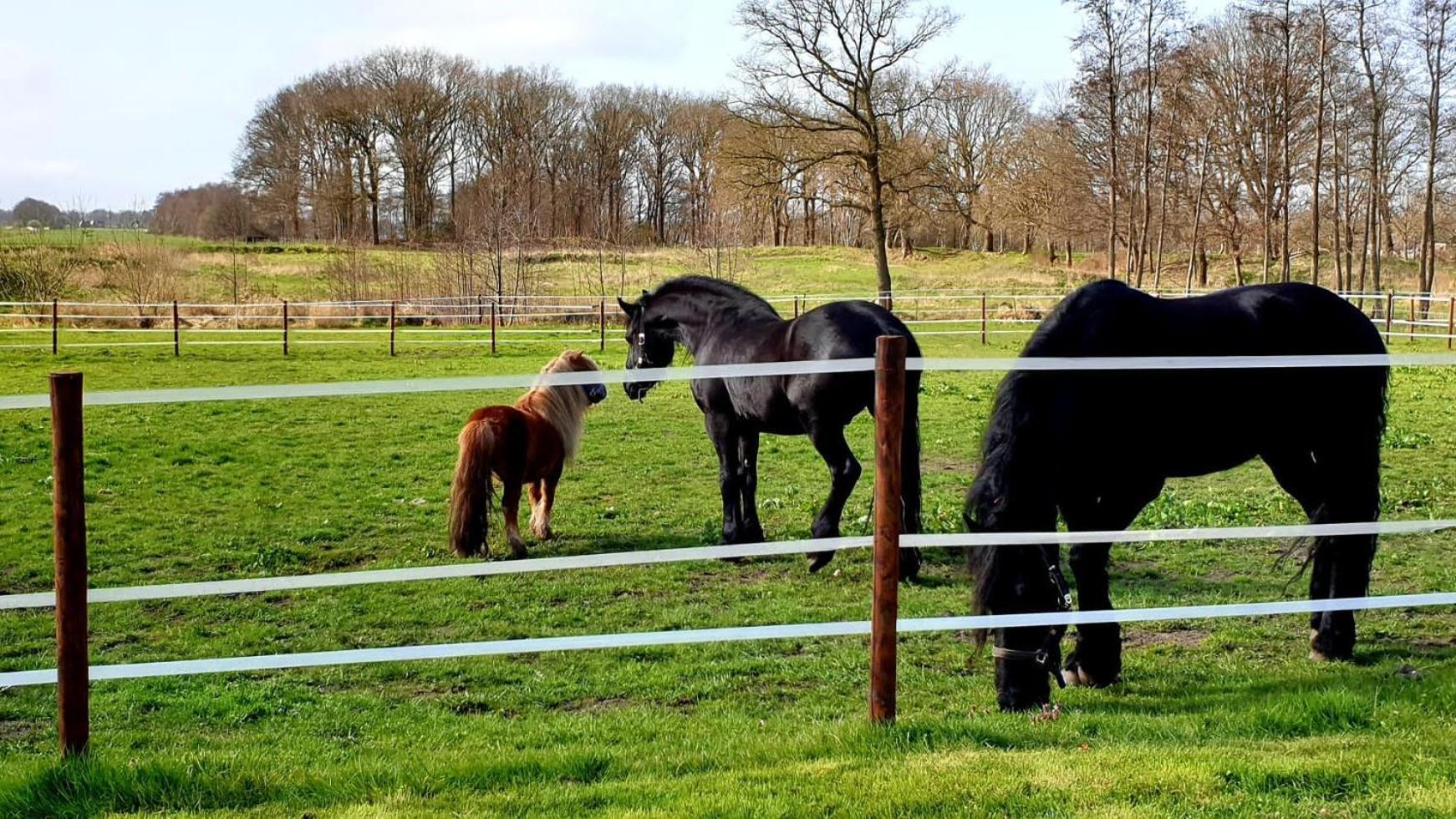 B&B Kuiper In Friesland Ureterp Екстер'єр фото